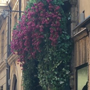 Meet your Posher, Tonnya